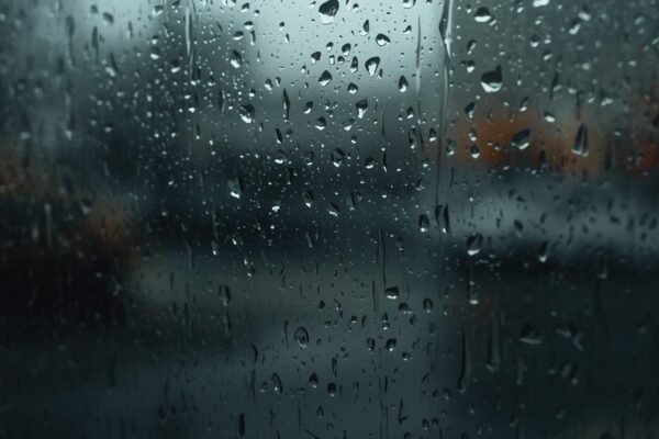 AZxrkBWrft68PaxOkYpuJw-AZxrkBWrG40yAx9t0CipXA